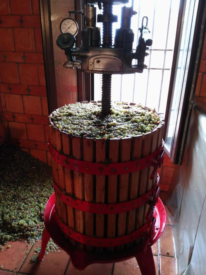Casa Rural La Bodega, Ofrece Cata De Vino Gratis Horche Εξωτερικό φωτογραφία